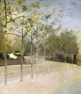Chelsea Embankment, Platany, 1908